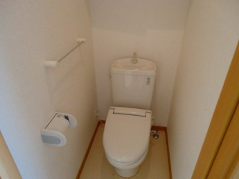 落ち着いた色調のトイレです