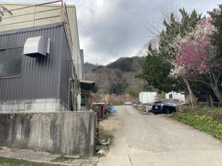 進入路まで50m