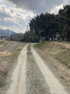 進入路まで50m