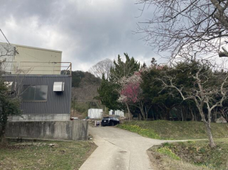 進入路まで50m