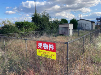 ドッグラン