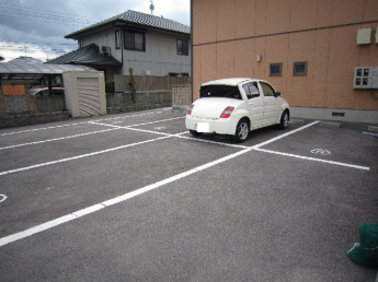 完成写真