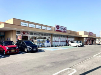 くすりのレデイ西条店まで1250m