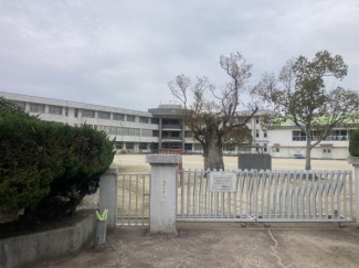 今治市立亀岡小学校まで2046m