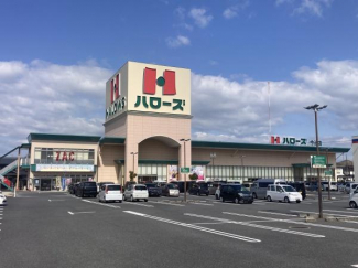 ハローズ今治店まで800m