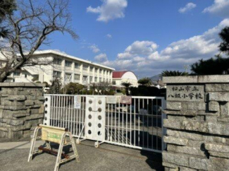 松山市立八坂小学校まで1193m