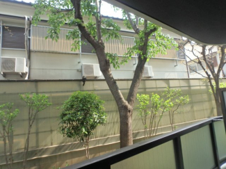 バルコニーからの景色です