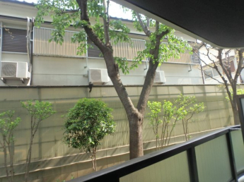 バルコニーからの景色です