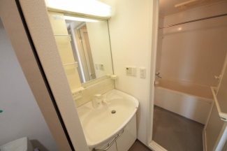 スペースが確保できる洗面所です