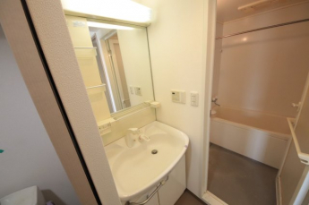 スペースが確保できる洗面所です