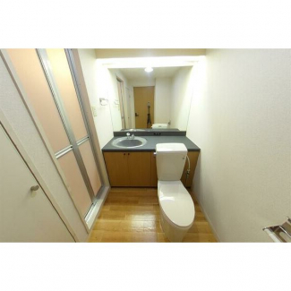 落ち着いた色調のトイレです
