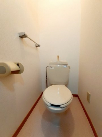 落ち着いた色調のトイレです