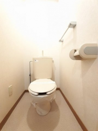 落ち着いた色調のトイレです