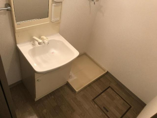 カゴなども置ける広い洗面所