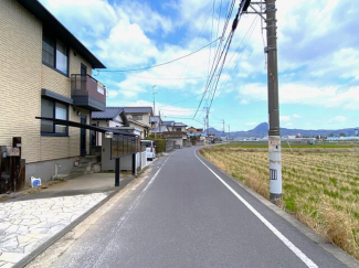 ２０２５年３月撮影