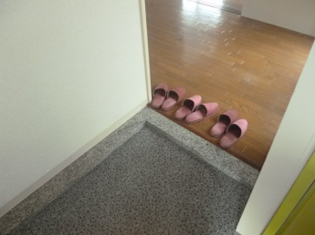 落ち着いた玄関です