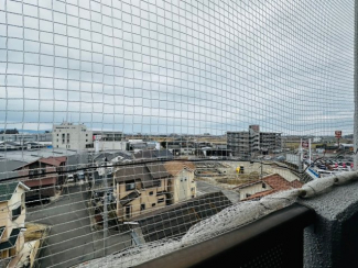 【展望】