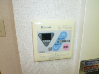 ハナミズキ
