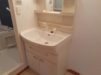 忙しい朝には欠かせない洗面所です