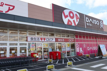 ロピア対中店まで900m