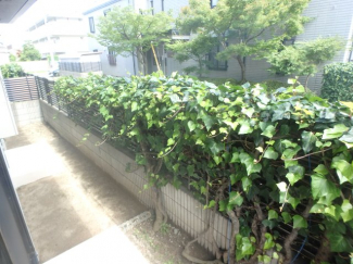 陽当たり良好なバルコニーです