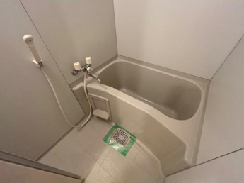 バス