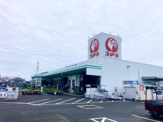 コメリハード＆グリーン高橋店まで997m