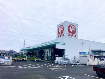 コメリハード＆グリーン高橋店まで997m