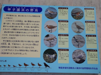 【その他】