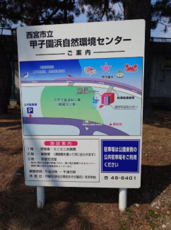 【その他】