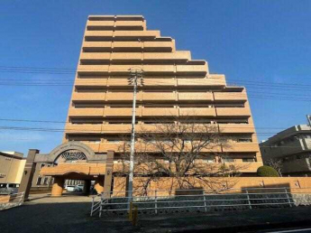 南側道路からの撮影です。春には桜が咲きます。