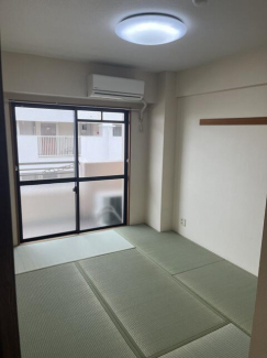 畳替え済