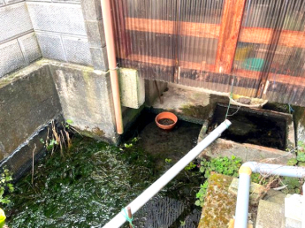 【その他】