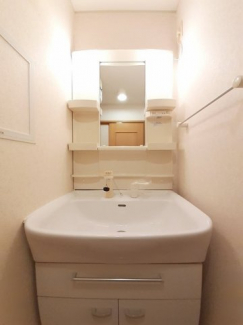 忙しい朝には欠かせない洗面所です
