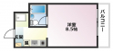 ＭＡＧＮＯＬＩＡの画像