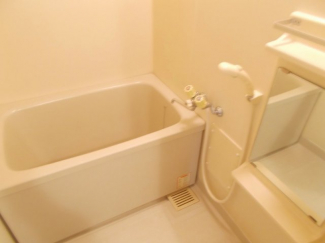 落ち着いた空間のお風呂です