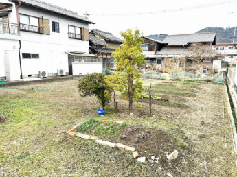 家庭菜園