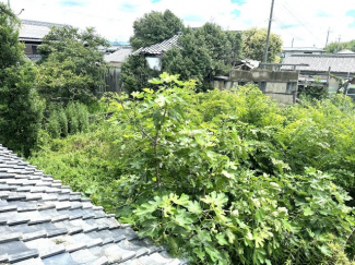 畑部分
