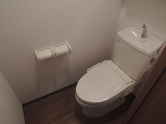 エヴァーラスティＢの画像