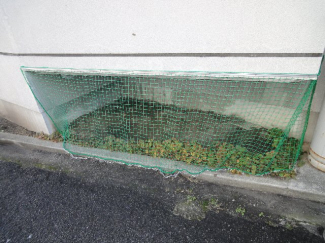 完成写真