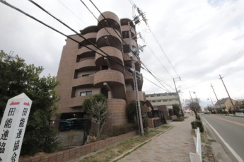 外観も気になるポイント