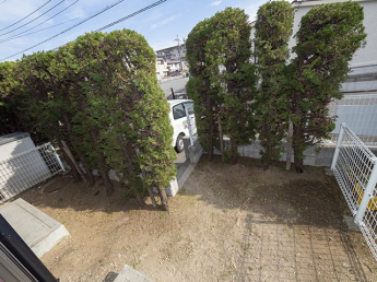 南面専用庭