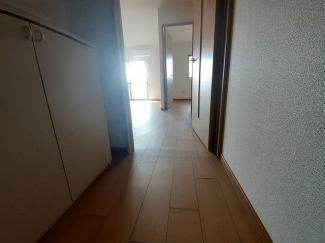 落ち着いた玄関です