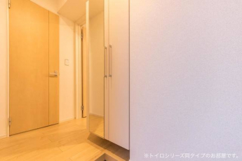 落ち着いた玄関です
