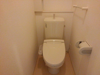 落ち着いた色調のトイレです