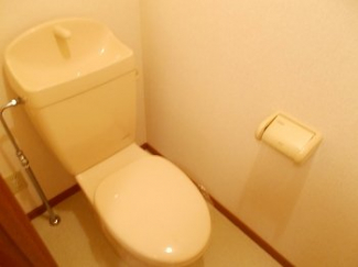 落ち着いた色調のトイレです
