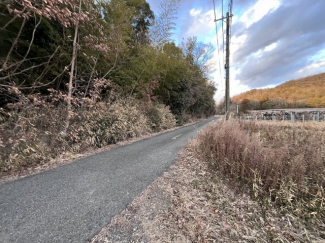 【前面道路含む現地写真】