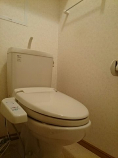 落ち着いた色調のトイレです
