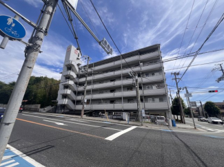 外観もきれいです
