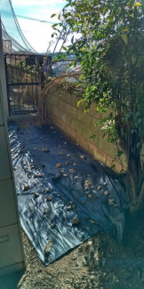 明石市魚住町金ケ崎の中古一戸建ての画像